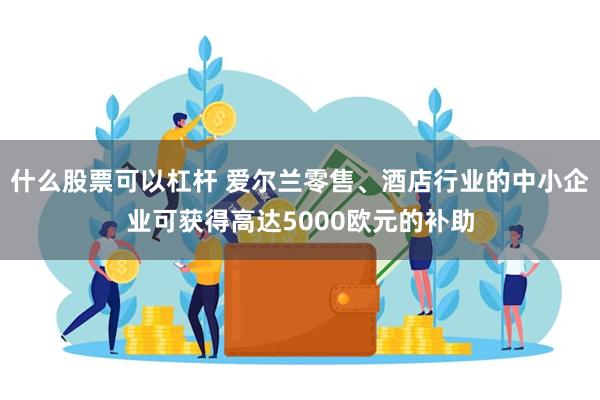 什么股票可以杠杆 爱尔兰零售、酒店行业的中小企业可获得高达5000欧元的补助