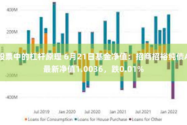 股票中的杠杆原理 6月21日基金净值：招商招裕纯债A最新净值1.0036，跌0.01%