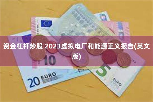 资金杠杆炒股 2023虚拟电厂和能源正义报告(英文版)