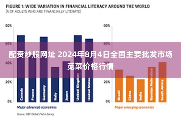 配资炒股网址 2024年8月4日全国主要批发市场苋菜价格行情