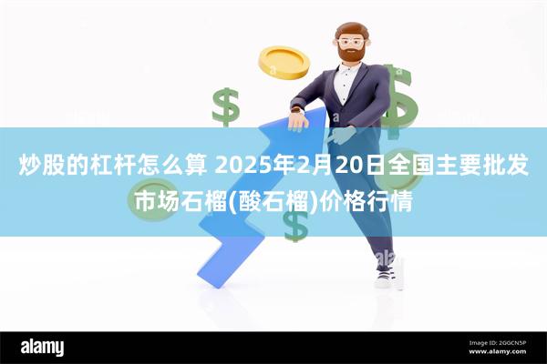 炒股的杠杆怎么算 2025年2月20日全国主要批发市场石榴(酸石榴)价格行情